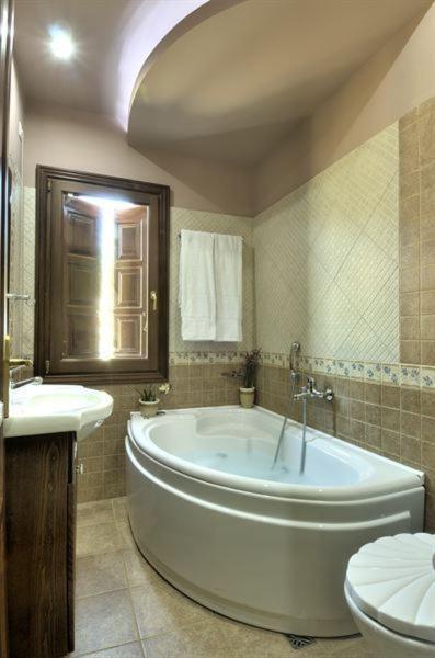 Iatrou Guesthouse Портария Номер фото